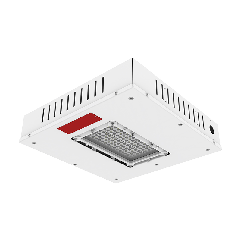 Hazardous Location Canopy Light UL C1D2 DICE GHCP - GRINSAFE